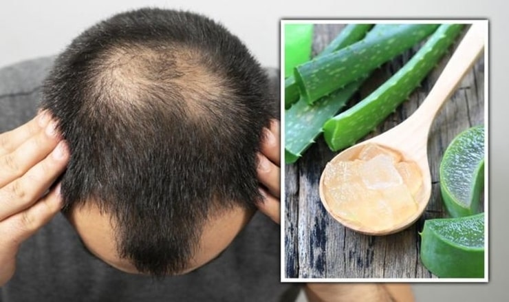 aloeverakosa