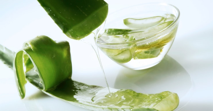 aloeverakosa2