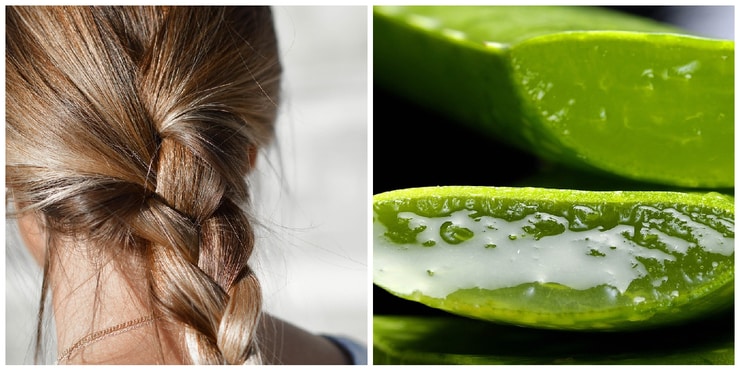 aloeverakosa3