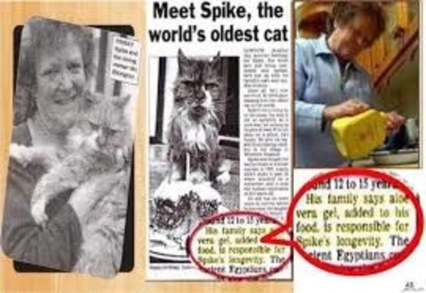 spike2