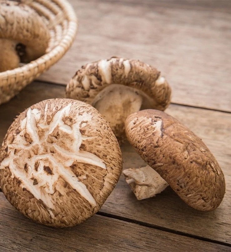 shiitake1