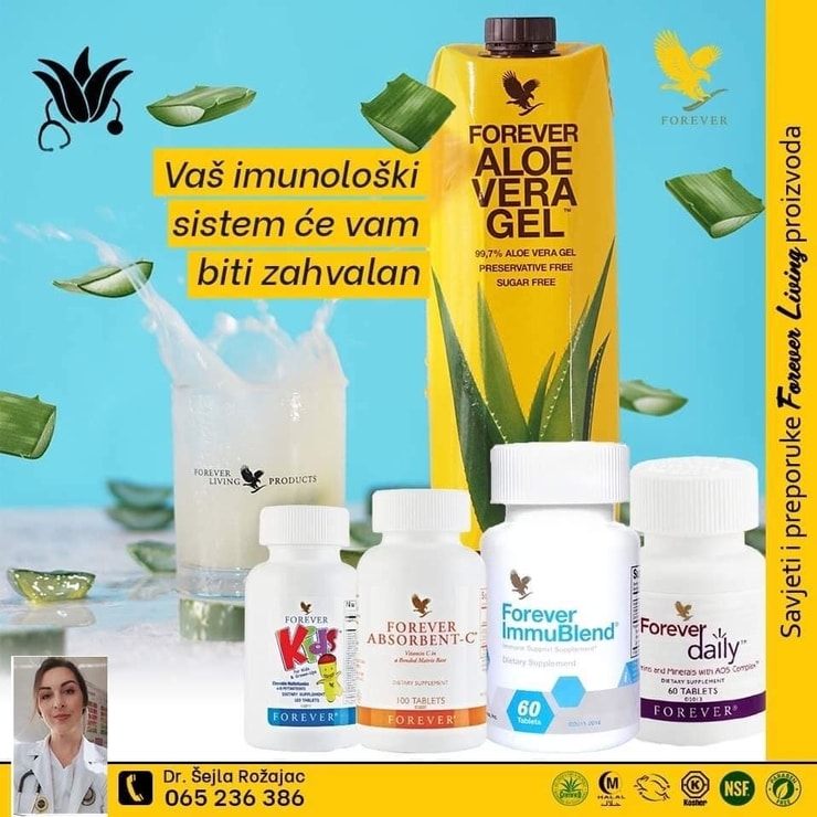 sejlarozajac6